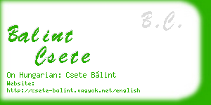 balint csete business card
